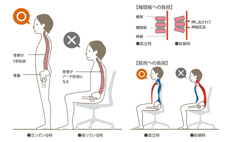正しい姿勢で座っていないことで、背骨のS字形状が崩れ、椎間板へ負担がかかる