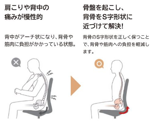 1-1.座り姿勢は立ち姿勢よりも、背骨が「アーチ状」になりやすいから