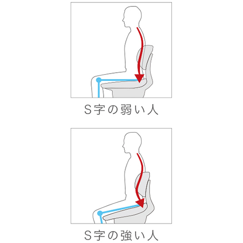 体格へのフィット
